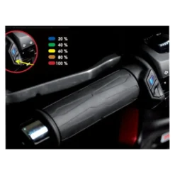 Heated Grips Gold
