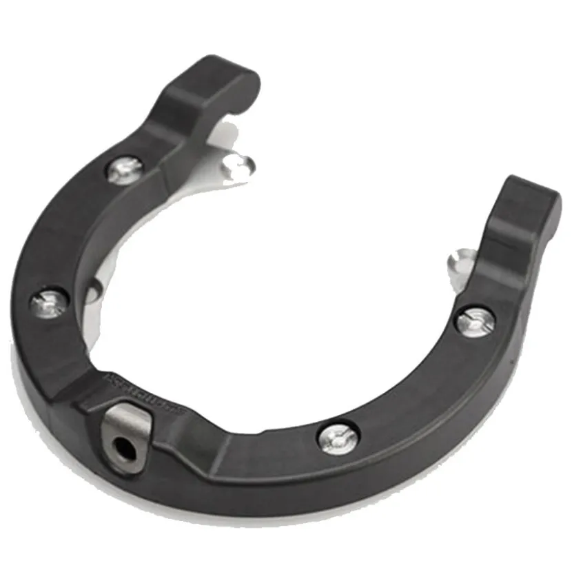 Ion Tankring