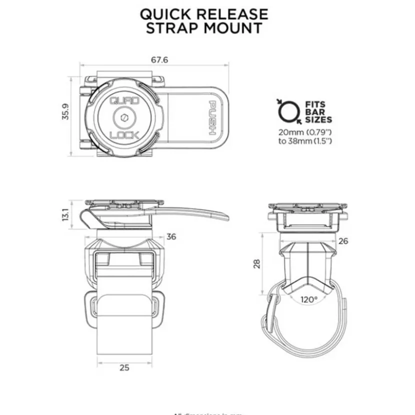 Quick Release Strap Mount
