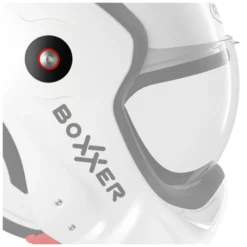 RO9 BoXXer Screw Kit