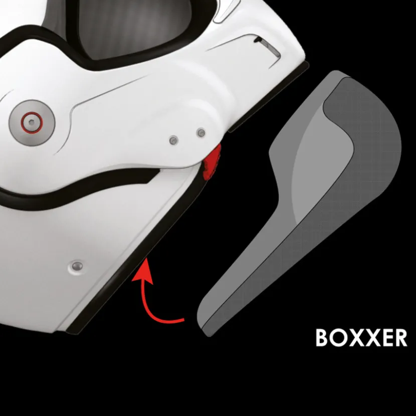 RO9 BoXXer Wangkussens
