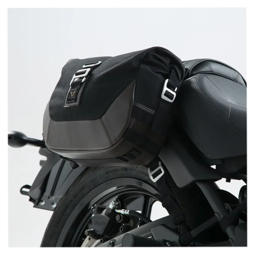 Saddlebag LS1