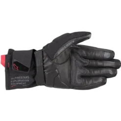 WT-4 GTX Gloves